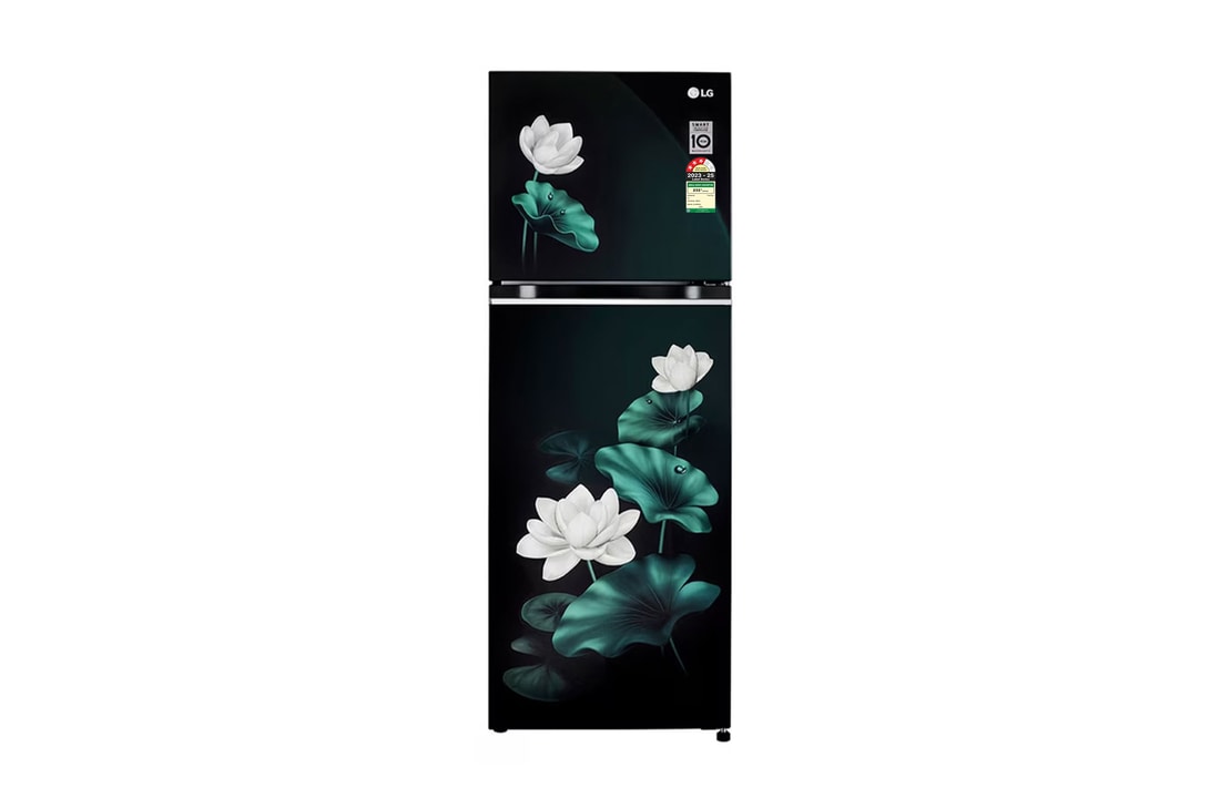 LG 246L Double Door Refrigerator, Convertible, Smart Diagnosis™, Emerald Lotus, 3 Star — GL-S262SELX — product view