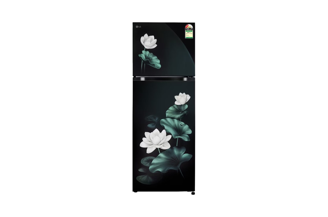 LG 251L Double Door Refrigerator, Convertible, Smart Inverter Compressor, Emerald Lotus, 2 Star — GLT2526XWEL — product view