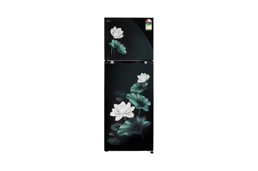 LG 251L Double Door Refrigerator, Convertible, Smart Inverter Compressor, Emerald Lotus, 2 Star — GLT2526XWEL — product view