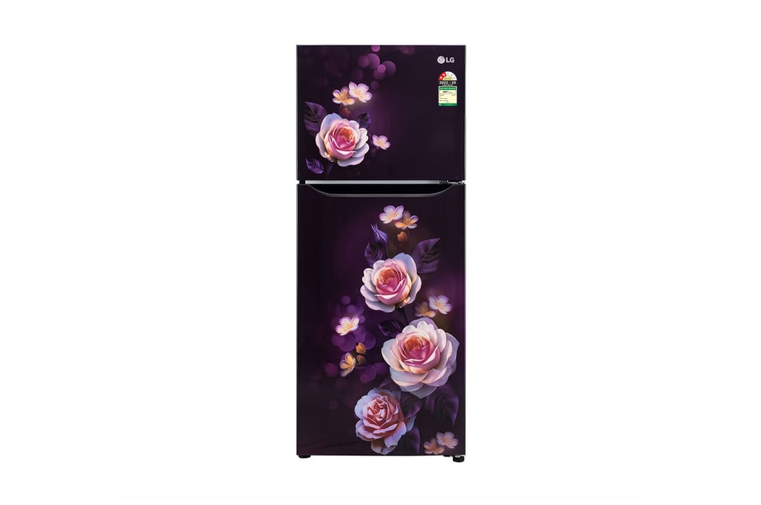 LG 242L Double Door Refrigerator with Smart Inverter Compressor, Multi-Air Flow, Purple Bloom, 2 Star — GL-N292DPBY — product view