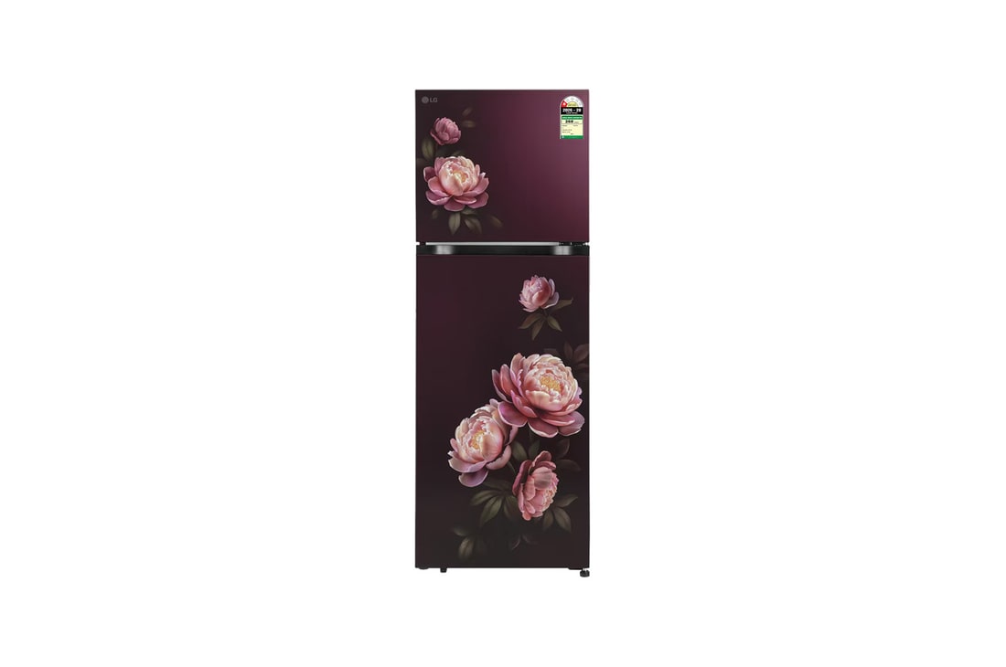LG 251L Double Door Refrigerator with Smart Mode, Turbo Fresh Zone, Wine Glory, 1 Star — GLT2516WWWG — product view