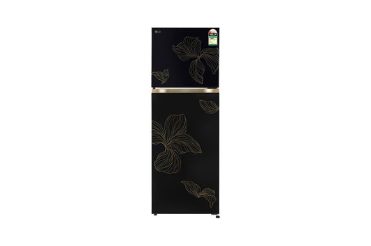 LG 251L Double Door Refrigerator with Smart Mode, Smart Inverter Compressor, Radiant Onyx, 1 Star — GLT2516WXRO — product view