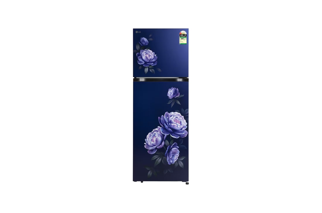LG 251L Double Door Refrigerator, Smart Mode, Multi Air Flow, Royal Glory, 1 Star — GLT2516WWRG — product view
