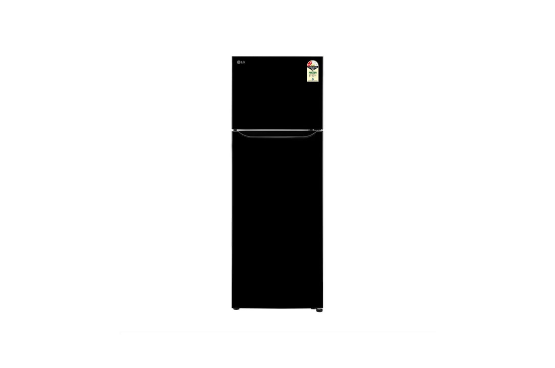 LG 288L Double Door Refrigerator, Convertible, Smart Diagnosis™, Ebony Sheen, 2 Star — GL-S322SESY — product view