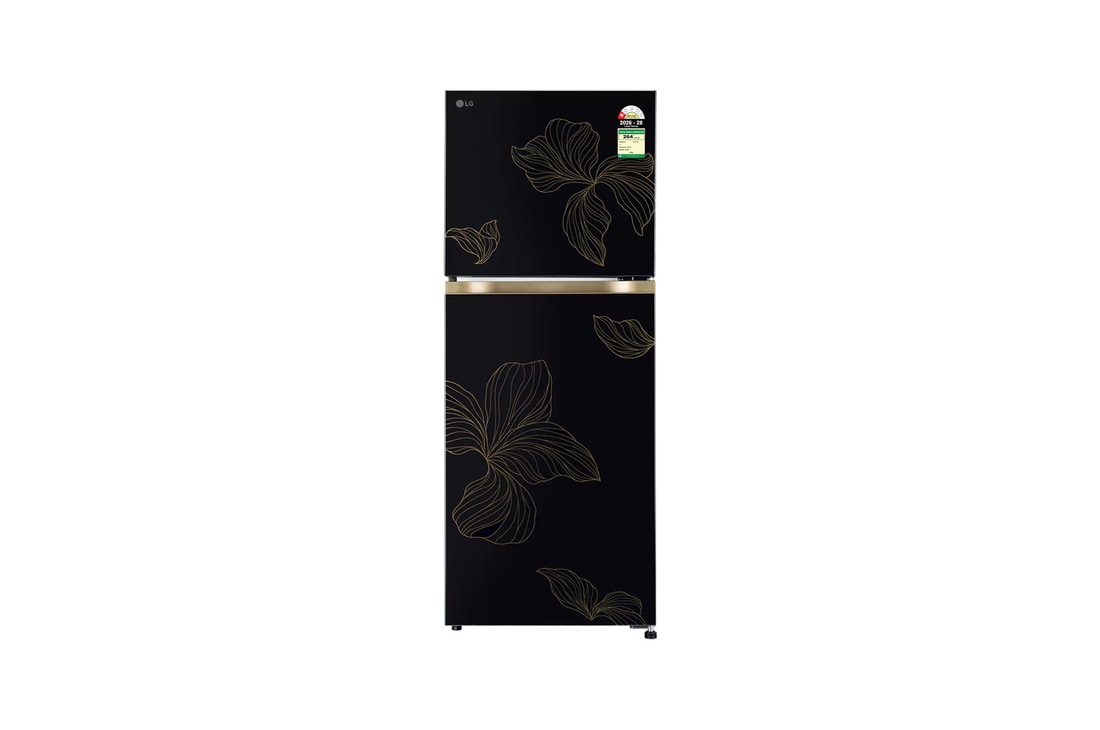 LG 225L Double Door Refrigerator, Smart Mode, Fresh Zone, Radiant Onyx, 1 Star — GLT2216WYRO — product view