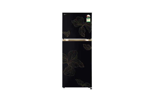 LG 225L Double Door Refrigerator, Smart Mode, Fresh Zone, Radiant Onyx, 1 Star — GLT2216WYRO — product view