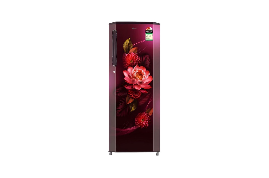 LG 261L Single Door Refrigerator, Smart Inverter Compressor, Smart Connect, Red Waterlily, 3 Star — GL-B281BRWX — product view