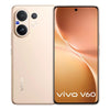 Vivo V60 256 GB, 12 GB RAM, Gold, Mobile Phone