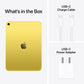 Apple iPad A16 11th Gen 2025 27.59 cm (11 inch) Wi-Fi + Cellular Tablet, 256 GB, Yellow, MD7M4HN/A